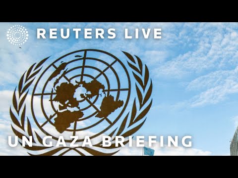 LIVE: UN agencies hold a bi-weekly briefing