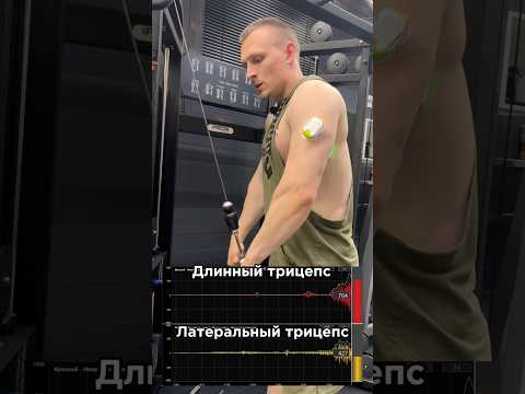 Трицепс по науке.За персональным планом обращаться в телеграм:@TrainerSmirnoVV