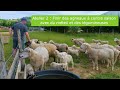 Rencontre technique ovine bourgognefranchecomt  rdv le 22092022