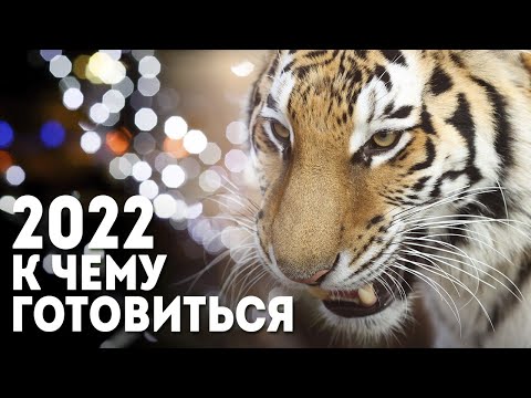 Видео: Какъв е астрологичният знак за 24 септември?