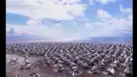 ترتيل سورة" ق" للقارئ :محمود مصطفى عثمان