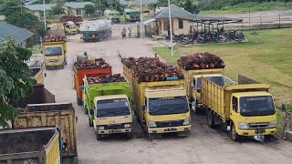 Condition of the Palm Oil Factory as the long Eid holiday approaches