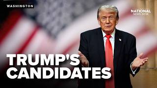 Trump-backed candidates SWEEP primary elections