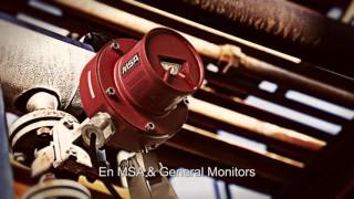 Msa Fgfd Subulado V3