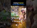 Ranking funniest dumb ways to d1e #funny #funnyshorts#viral