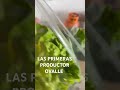 7 de agosto de 2024