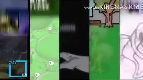 16 Shuric Scans With Are Slides