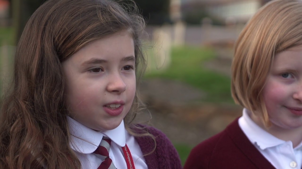 Full version of the Clandeboye Rainwater Garden YouTube