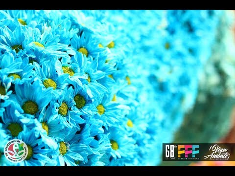 Video: Exposición De Flores Del Royal London