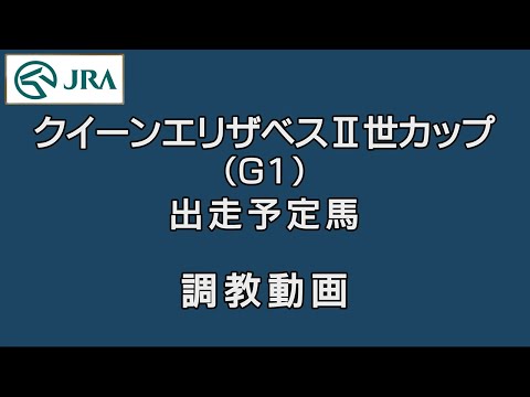 【2023クイーンエリザベスⅡ世カップ】ジェラルディーナなど出走予定馬7頭の調教動画 | JRA公式