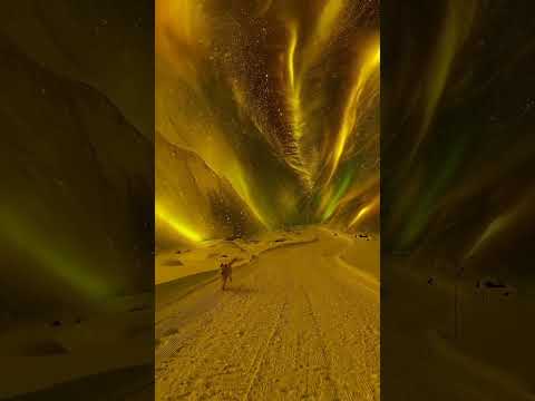 الشفق القطبي في النرويج تصاميم عبادة البشتاوي