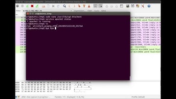 Demonstration hack server Bug bash, shell shock