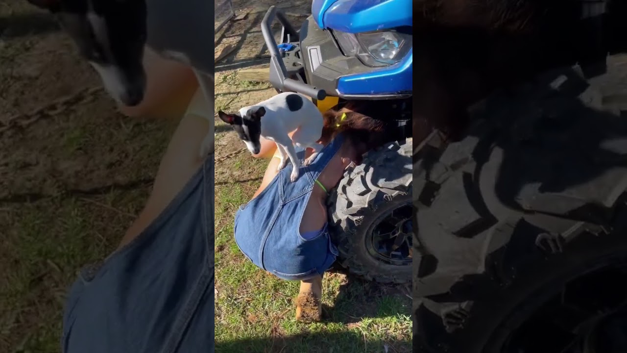 🛠️ I over winched my winch! Didn’t know it was possible. Stella helped w/ repairs. 