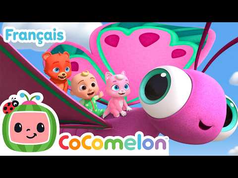 Big and Small |🪲 Educational Nursery Rhyme | @CoComelonAnimalsFrancais