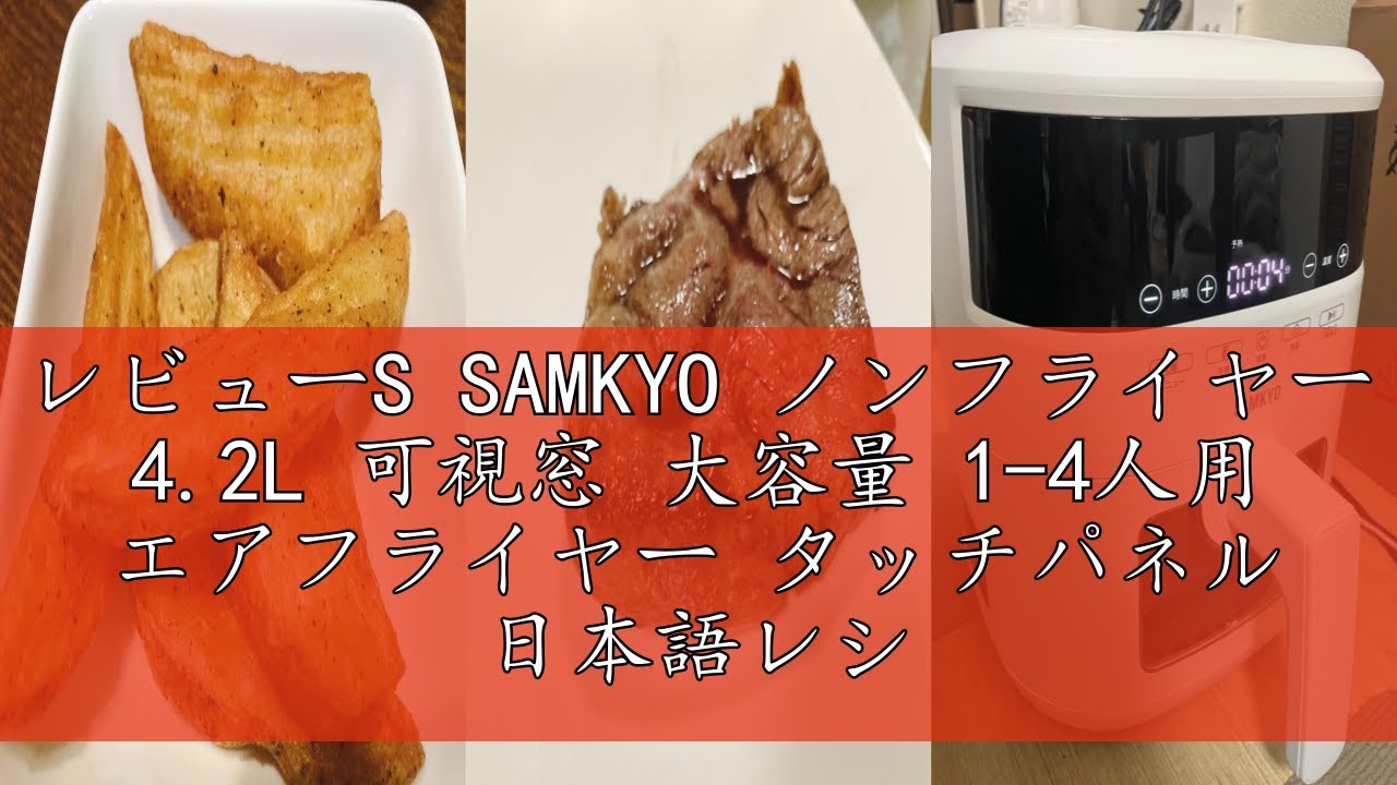 レビューS SAMKYO ノンフライヤー 4.2L 可視窓 大容量 1-4人用 エア 