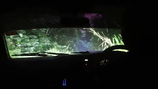 Navigating along a narrow jungle road at 06:29 in the early morning. #Rainforest #Suriname [4K]