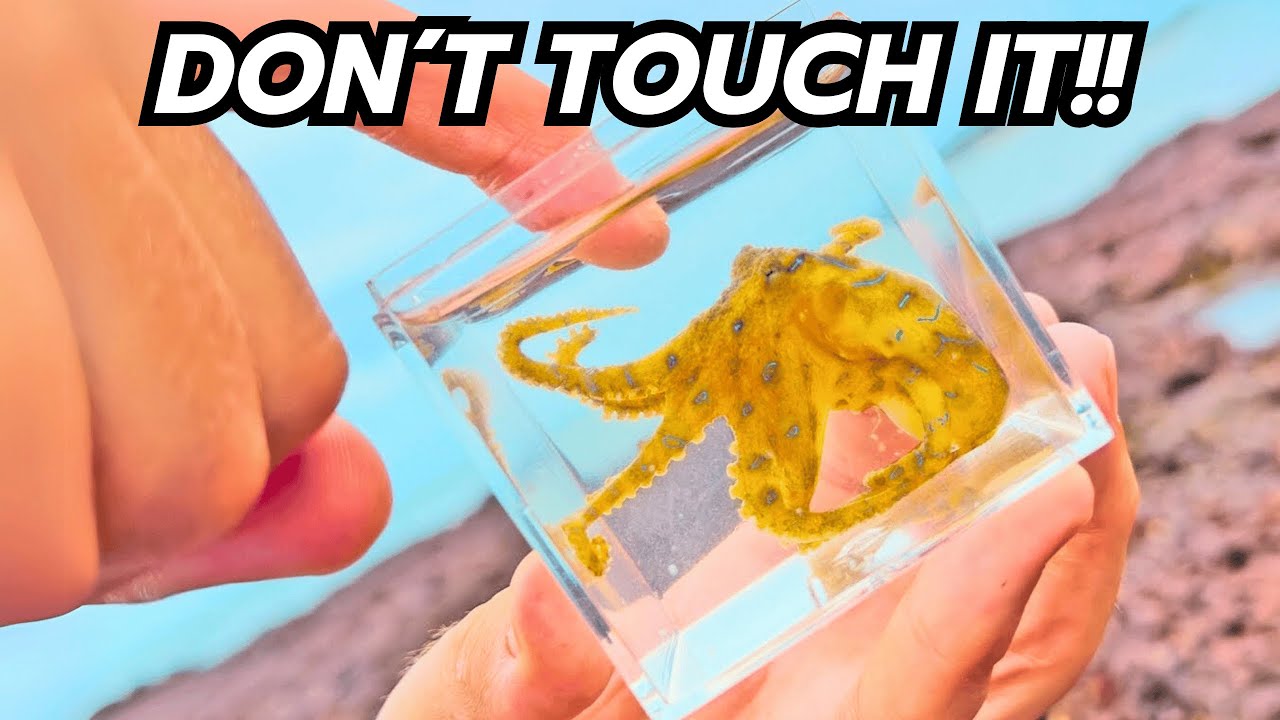 15 Most Toxic Animals and Plants in the World