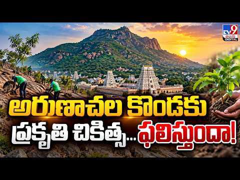 అరుణాచల కొండకు ప్రకృతి చికిత్స...ఫలిస్తుందా! Arunachala Hill Gets Eco Repair | TV9