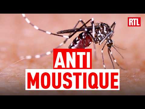 Moustiques : attention aux fausses solutions miracles !