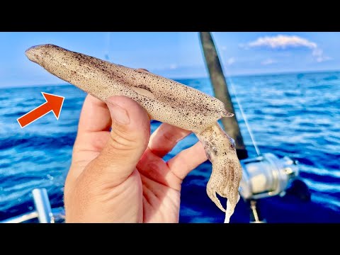 Fishing BAITS 100’ DEEP in the GULF! for my DINNER [Catch, Clean, and Cook]