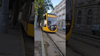 🚋Трамвайщики, объединяемся! #youtubeshorts #youtube #hungry #street #shorts #трамвай #поездка