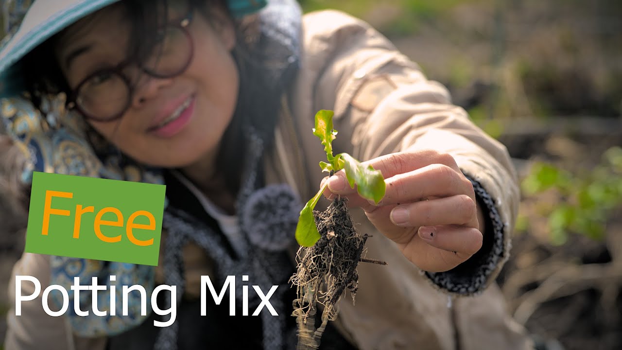 Save money make your own potting soil YouTube