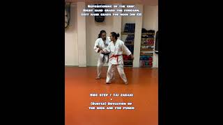 Krav Maga Hagana Neged Beitaregila Ve Makat Egrof 35  Defence Against Front Kick  Punch