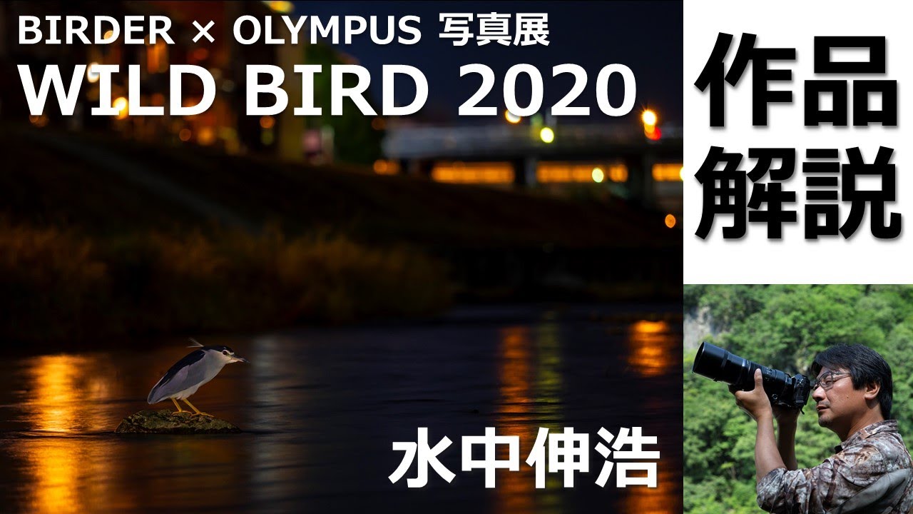 水中伸浩『BIRDER×OLYMPUS写真展「WILD BIRD 2020」』作品解説 - YouTube
