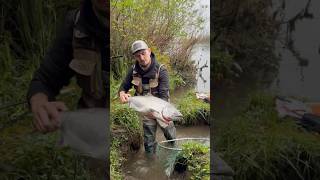 Spring Chinook Addicted Fishing (salmon fishing) 