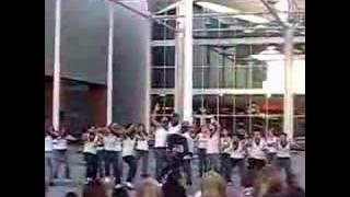 ADPI, ZBT, SDA - Stroll Greek Week 2008
