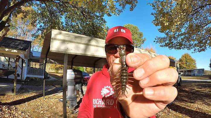 THIS Fishing Lure Is An ABSOLUTE BEAST!!! Catch MO...