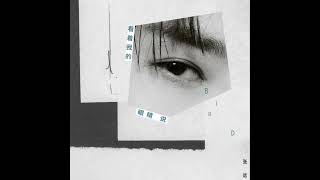 张远-看着我的眼睛说（伴奏)