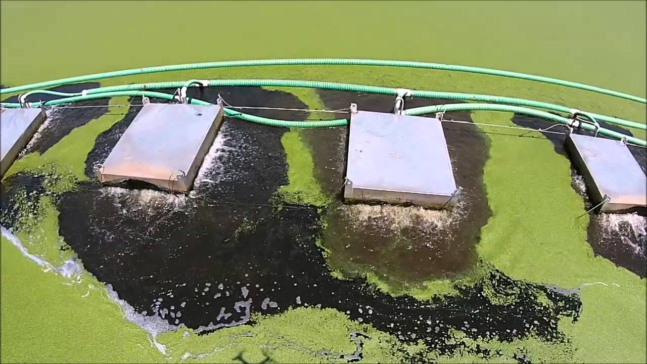 Winfield, AL Sewer Lagoon 2014.07.03 Drone Video Observation YouTube
