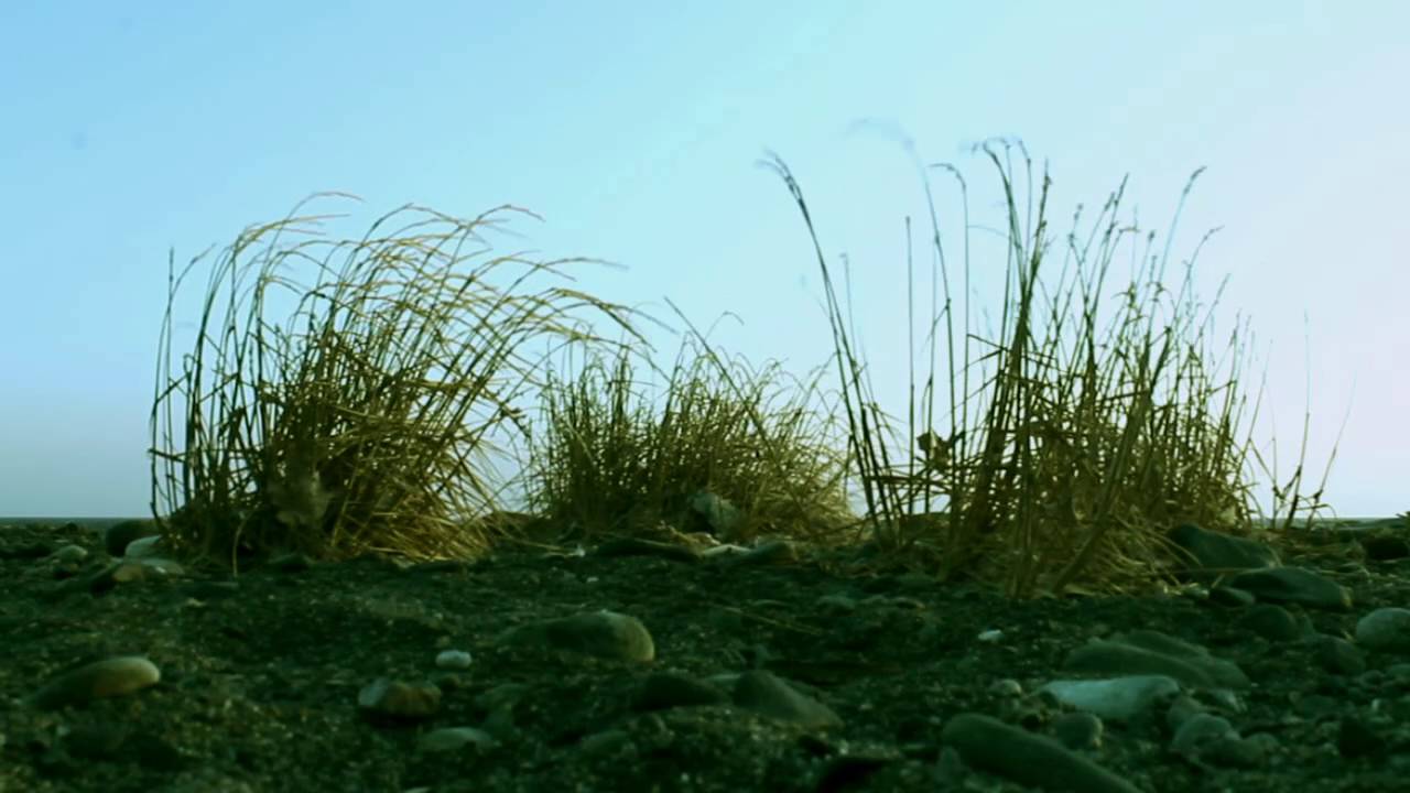 16KW26 - Piano fingers