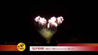 SLF1006 2013