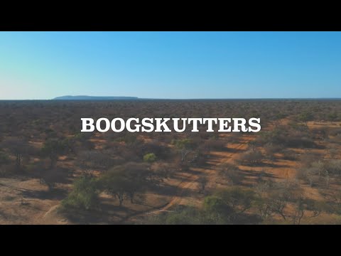 Video: Boogskutter