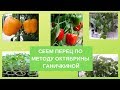 Сеем перец по методу Октябрины Ганичкиной.