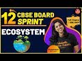 Ecosystem | CBSE Class 12 Biology | Dr. Vani Mam | Vedantu Biology