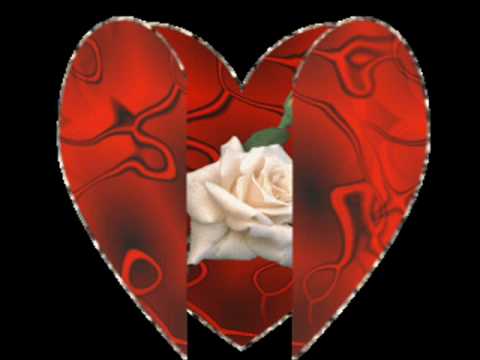 كل سنه وانت طيب هاني شاكر اهداء الى حبيبي بيوم ميلاده