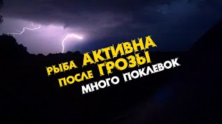 РЫБА ПОСЛЕ ГРОЗЫ СОШЛА с УМА ! МНОГО ПОКЛЕВОК. ЩУКА , ГОЛАВЛЬ. РЫБАЛКА на СПИННИНГ .СПЛАВ . НОЧЕВКА.