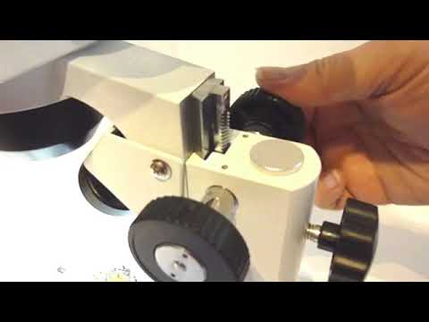 Microscopio stereoscopico. Le parti del microscopio stereoscopico. Il ...