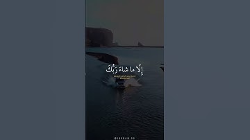 اكتب شي تؤجر عليه 🤍 | القارئ إسلام صبحي | قرآن كريم