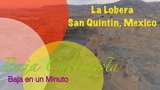 Baja en un Minuto: La Lobera de San Quintín, Ensenada, Mexico