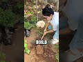 A New Home, New Hope for the White Cat