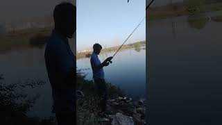 machhali Marne Ka Sahi tarika