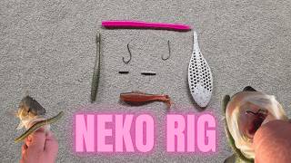 LOCKED IN-Neko Rig Episode