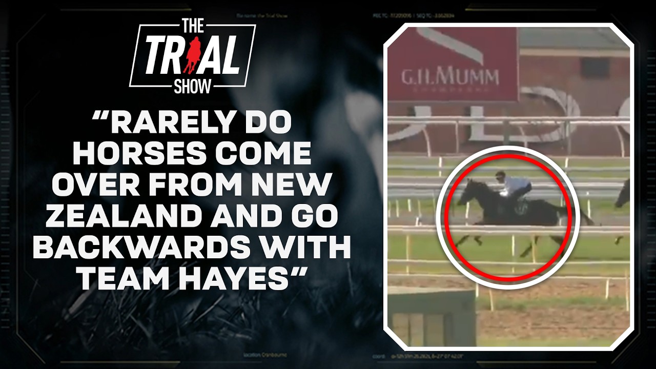 Unbeaten Kiwi mare turns heads at Flemington | The Trial Show