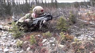 Tavor TAR-21 with Vortex Viper PST and a Fabarm 12gauge: Spring Shooting: תבור רובה