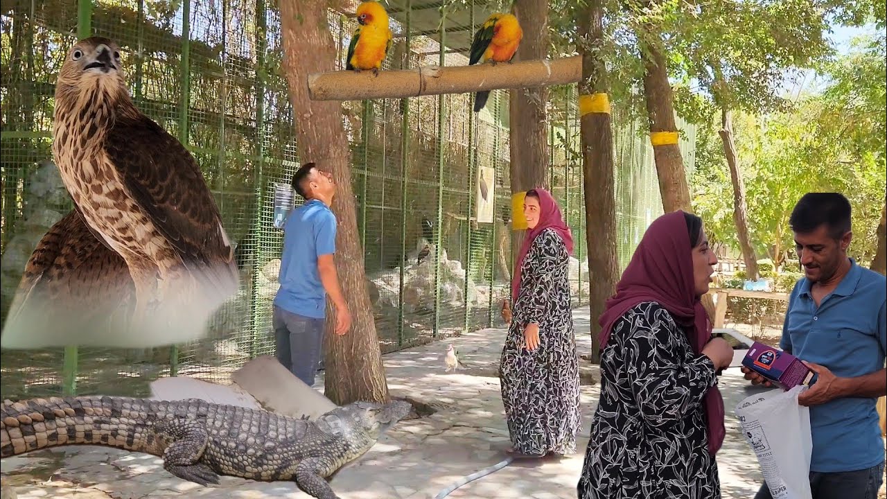 ❓"Is there any hope of pregnancy?👶 Asghar and Halimeh's journey from the mountains to Isfahan"