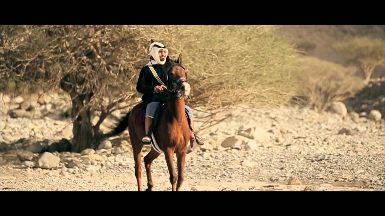 بطولة فزاع لليوله الكبار2015-2016 - الميدان 6